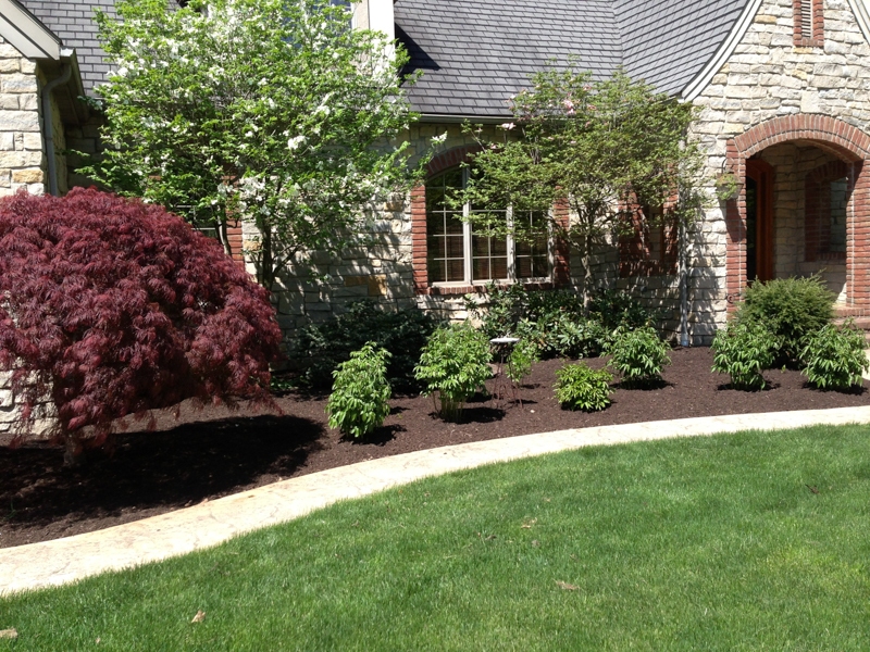 Affordable Landscaping Services in Akron
