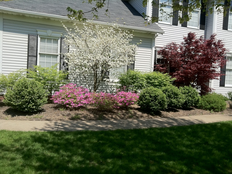 Green Ohio Residential Commercial Landscaping Company