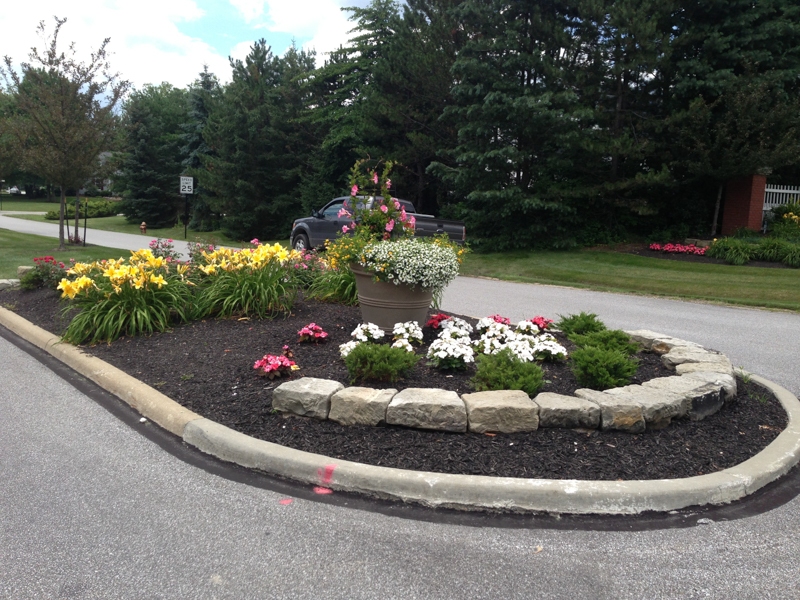 Beautiful landscape bed in Mogadore