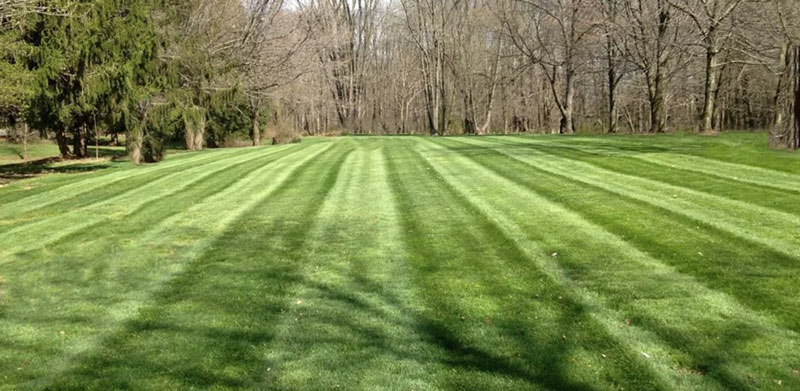 Professional Lawn Mowing Company in Braceville Ohio