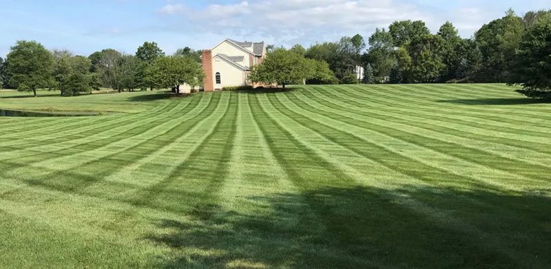 Best Lawncare Company in Rootstown Ohio